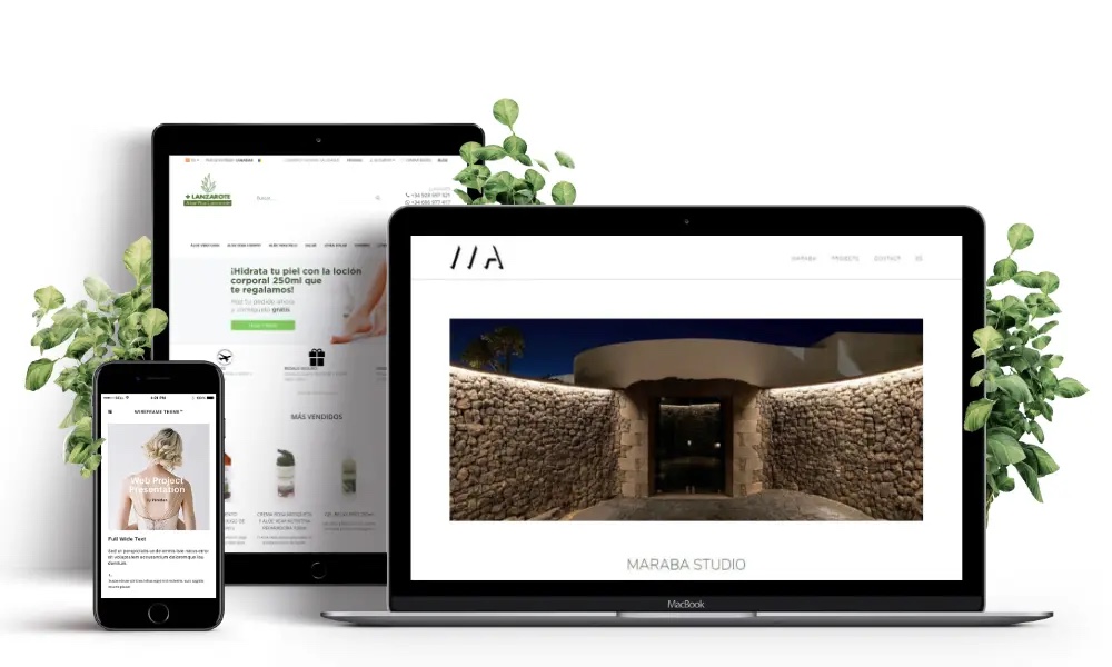 Diseño de páginas web en Lanzarote