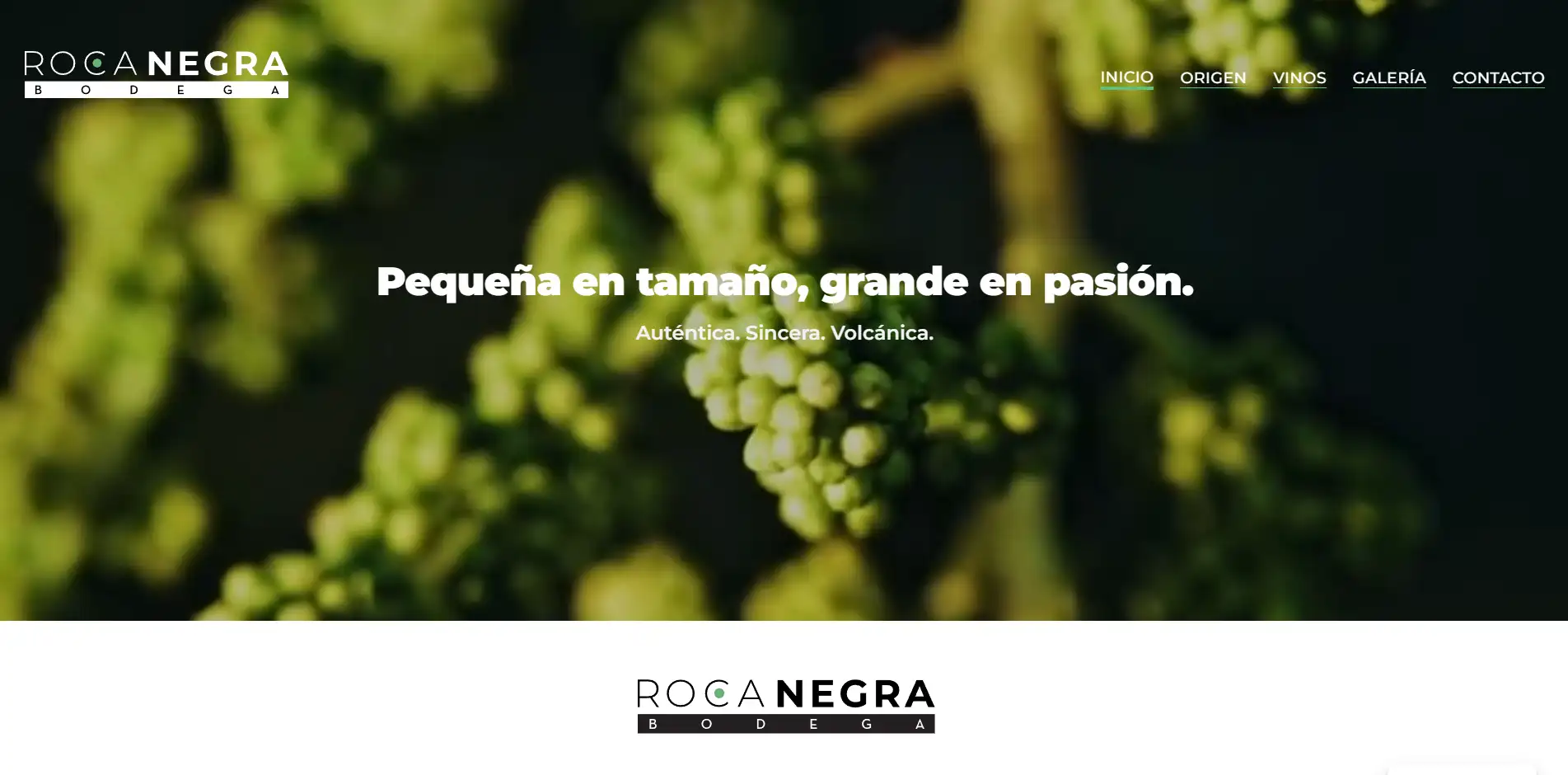 Diseño web de: Bodega Roca Negra - Bodega familiar ecológica en Lanzarote