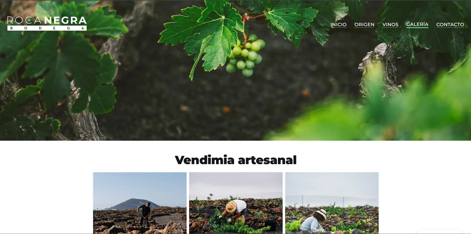 Bodega Roca Negra - Bodega familiar ecológica en Lanzarote captura 4